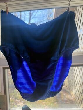 Vintage Panties Plus Satin Stripe Royal Blue Brief Panty Plus Size 1X
